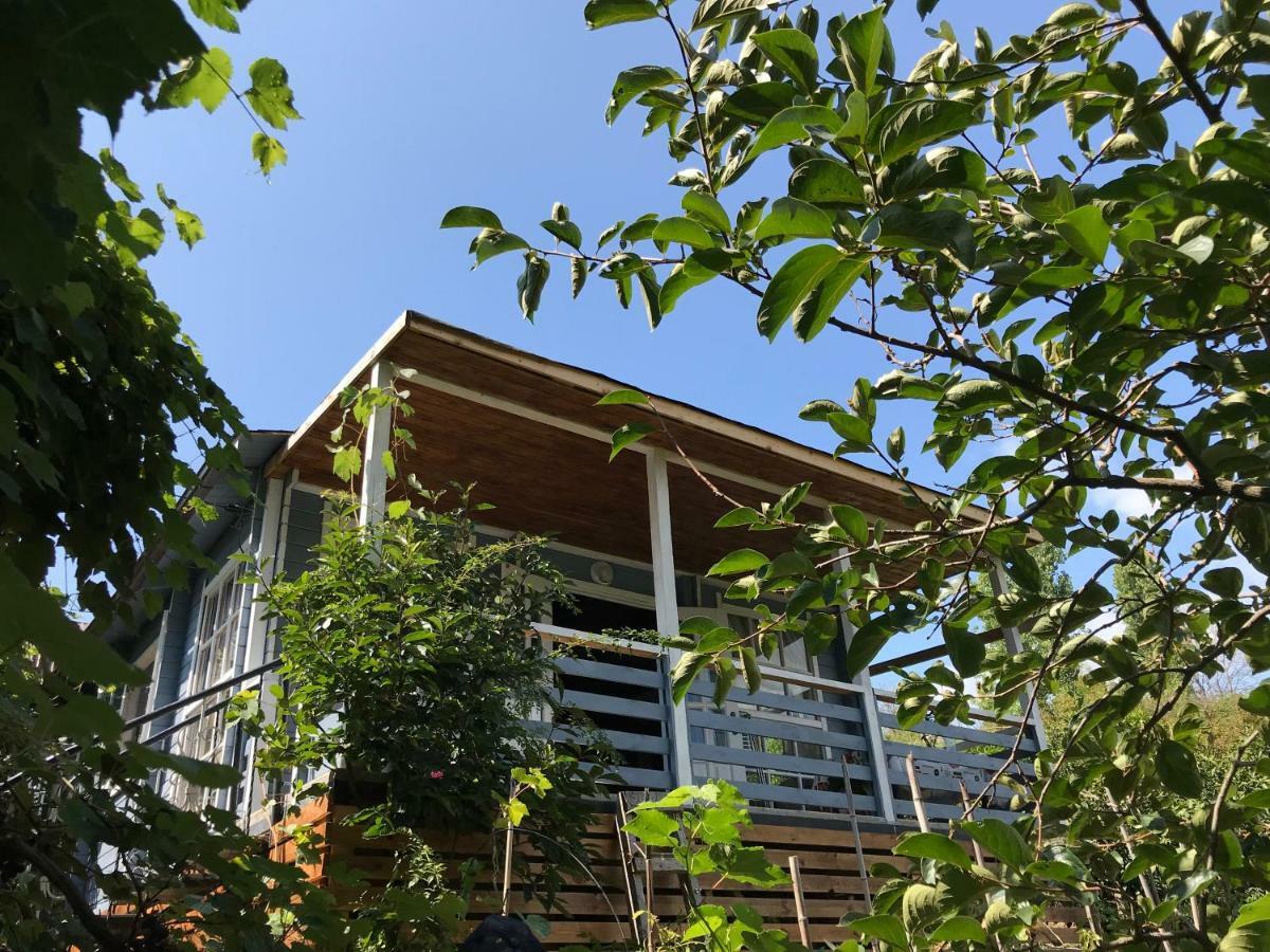 Eco Cottage Marina New Athos Exterior photo